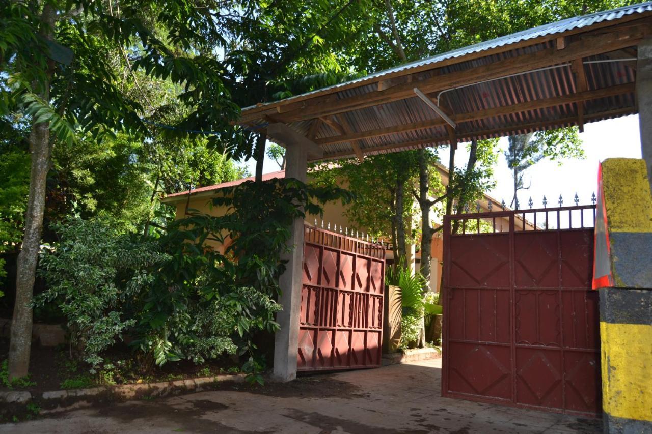Serene Mountain Lodge Marangu 외부 사진