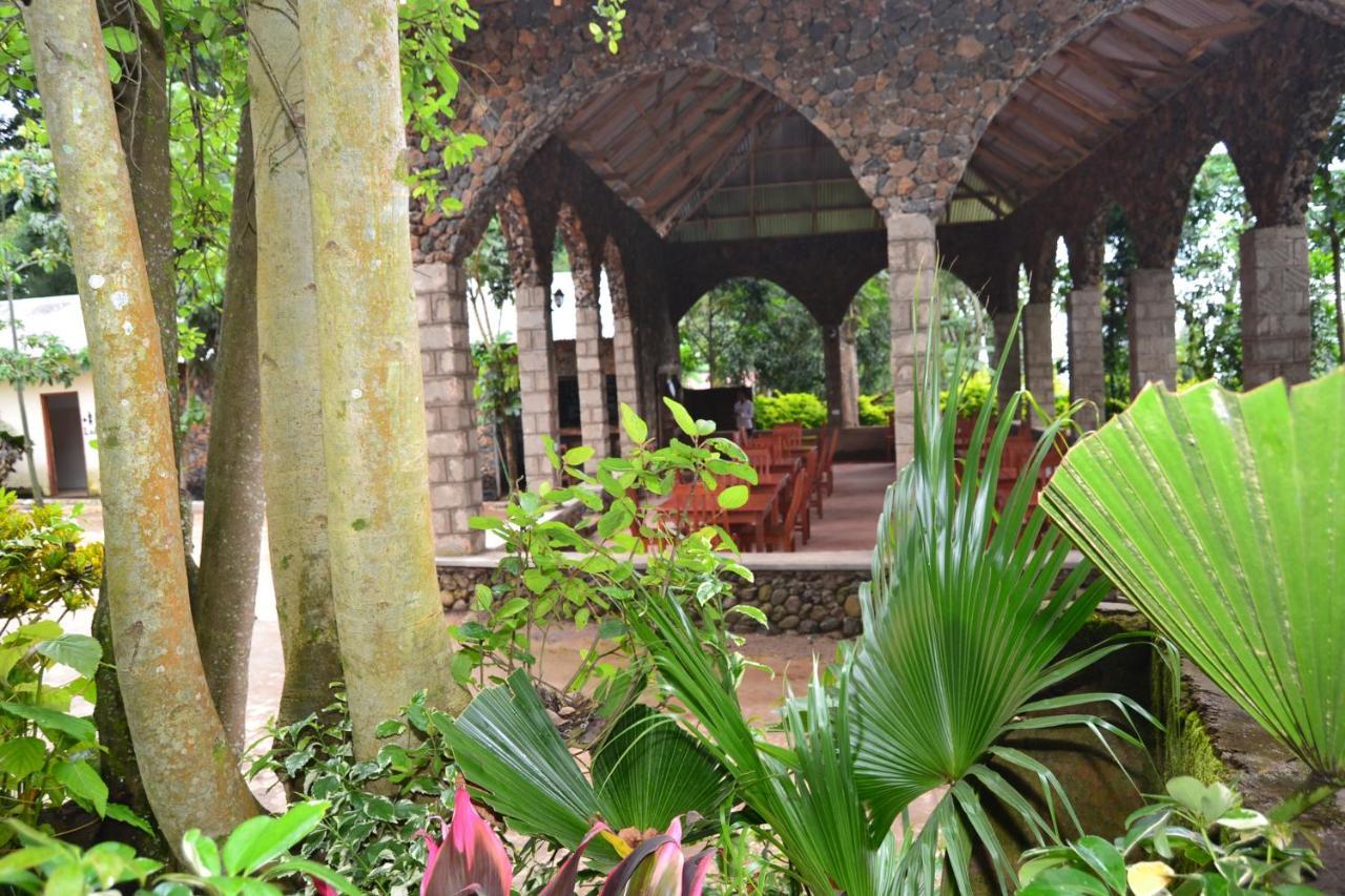 Serene Mountain Lodge Marangu 외부 사진