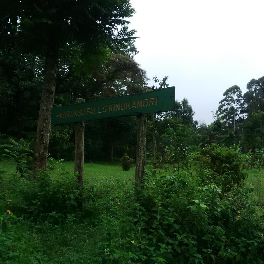 Serene Mountain Lodge Marangu 외부 사진