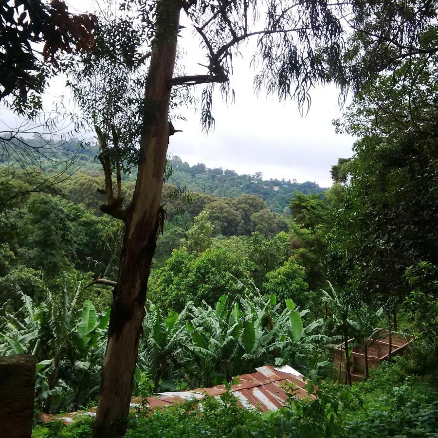 Serene Mountain Lodge Marangu 외부 사진